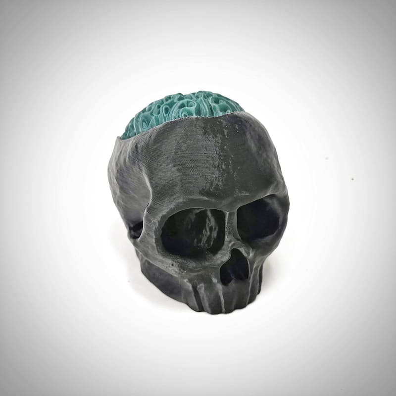 Skull with Brain - Candy Hiding Place